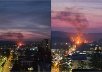 ამ წუთებში ხანძარია ოზურგეთში ყოფილი საავადმყოფოს მიმდებარე ტერიტორიაზე
