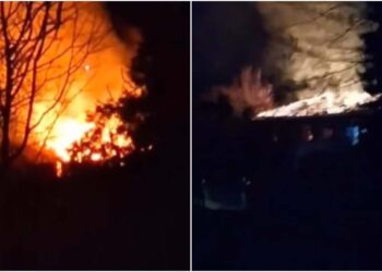 ერთი ადამიანი ემსხვერპლა ხანძარს ქობულეთში (+ვიდეო)