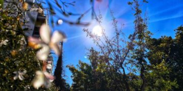 როგორი ამინდი იქნება შობის დღესასწაულზე საქართველოში