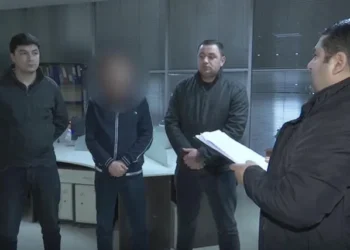 ორსულ მეუღლეზე ძალადობისთვის შსს-მ ახალგაზრდა მამაკაცი დააკავა