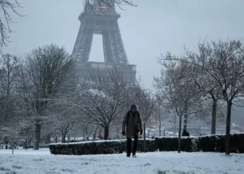 ძლიერი თოვის გამო პარიზსა და ამსტერდამში საჰაერო, სარკინიგზო და საგზაო მიმოსვლა შეფერხდა