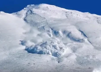 სამაშველო სამსახურმა ზვავის ჩამოწოლისას, თოვლის ქვეშ მოყოლილი ერთი პირი ამოიყვანა