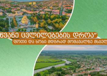 „მწვანე ცვლილების დროა“ — ფოთი და ხობი მდგრად მომავალზე მსჯელობენ