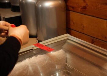 ფულის მითვისება და გაფლანგვა: პროკურატურამ ვაგონსარემონტო ქარხანაში ჩხრეკა ჩაატარა