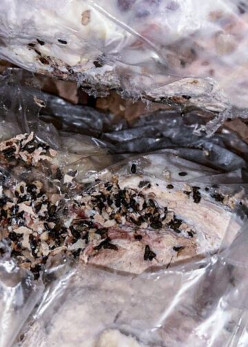 შსს-ს და თავდაცვის თანამშრომლებს უვარგის კონსერვებს აწვდიდა – საგამოძიებომ 1 პირი დააკავა