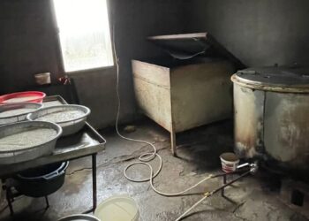 ქვემო ქართლში ყველის 4 არალეგალური საწარმო გამოვავლინეთ – სეს