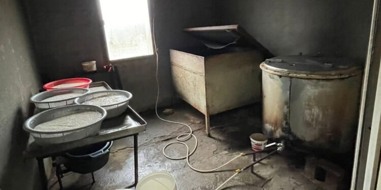 ქვემო ქართლში ყველის 4 არალეგალური საწარმო გამოვავლინეთ – სეს