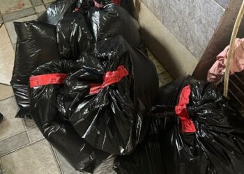 ოზურგეთში ხორცისა და ხორცპროდუქტების ორი არალეგალური საწარმო გამოავლინეს