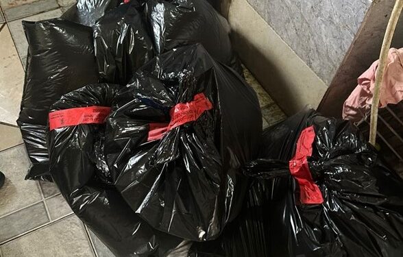 ოზურგეთში ხორცისა და ხორცპროდუქტების ორი არალეგალური საწარმო გამოავლინეს