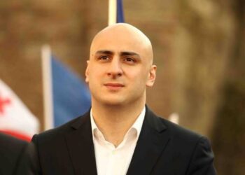 ნიკა ამჟამად გადაყვანილია ვივამედში, გარკვეულ სამედიცინო გამოკვლევებზე – ადვოკატი