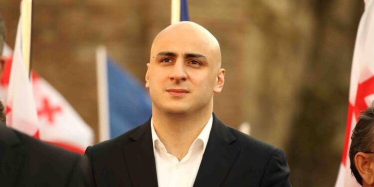 ნიკა ამჟამად გადაყვანილია ვივამედში, გარკვეულ სამედიცინო გამოკვლევებზე – ადვოკატი