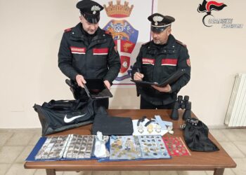 იტალიაში სახლის გაქურდვის მცდელობის ფაქტზე საქართველოს მოქალაქე დააკავეს