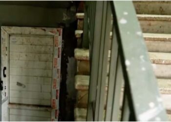 ფოთში მოზარდებმა სადარბაზოში ძაღლი მოკლეს – დაწყებულია გამოძიება