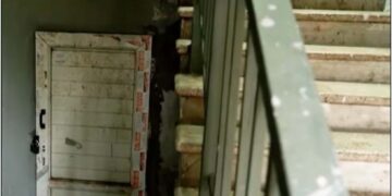 ფოთში მოზარდებმა სადარბაზოში ძაღლი მოკლეს – დაწყებულია გამოძიება