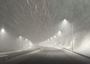 რა ვითარებაა რიკოთზე – უახლესი ინფორმაცია მძღოლებს