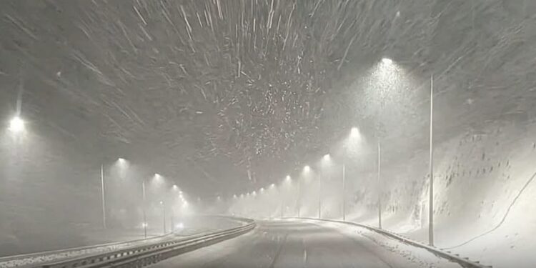 რა ვითარებაა რიკოთზე – უახლესი ინფორმაცია მძღოლებს