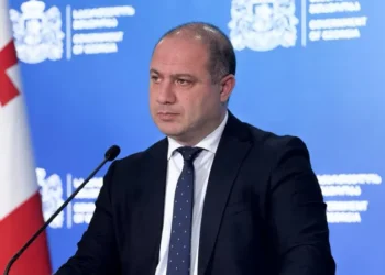 რომელი სახელმწიფო უნივერსიტეტი რომელ ფაკულტეტზე გამოაცხადებს მიღებას – მინისტრის განცხადება