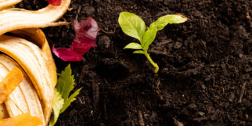 რატომ კომპოსტირება?