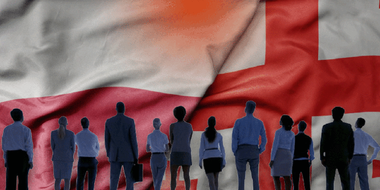 23 პროფესია, სადაც კადრების დეფიციტია – შრომის ბაზრის კვლევა