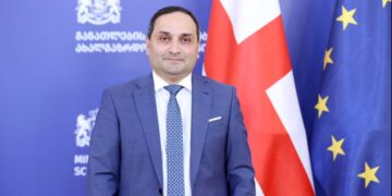 არჩევითი და მაინორის საგნების ნაწილი შემცირდება – გაბისონია 3-წლიან ბაკალავრიატზე