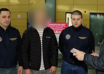 საქართველოში განსაკუთრებით დიდი ოდენობით ფსიქოტროპული ნივთიერების უკანონოდ შემოტანის ფაქტზე, თურქეთის მოქალაქე დააკავეს