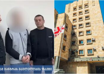 პროკურატურამ ოზურგეთის მუნიციპალიტეტში მომხდარი მკვლელობის ფაქტზე ერთ პირს ბრალდება წარუდგინა