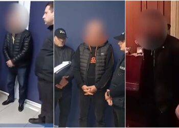 გურიაში პოლიციამ უკანონო ცეცხლსასროლი იარაღები და საბრძოლო მასალა ამოიღო – დაკავებულია 3 პირი (+ვიდეო)