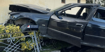 რუსთავში ავტომობილი პარკში შევარდა