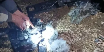 ოკუპირებულ აფხაზეთში უპილოტო საფრენი აპარატი ჩამოვარდა