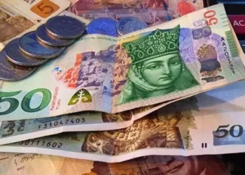 2025 წლის 1-ელ ნოემბრამდე ზედმეტად გაცემული პენსია, ასევე ზედმეტად გაცემული სახელმწიფო კომპენსაცია და შემწეობა ლეგალიზებულად ჩაითვლება და უკან დაბრუნებას აღარ დაექვემდებარება