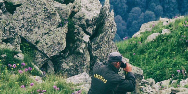 რეინჯერების ანაზღაურება 40%-ით გაიზარდა