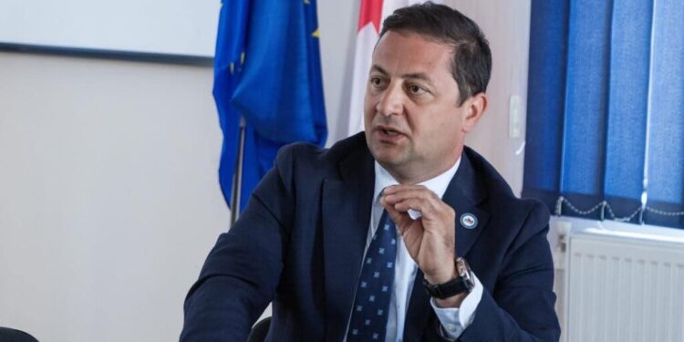 გოგიტა თოდრაძე საქართველოს სტატისტიკის ეროვნული სამსახურის აღმასრულებელ დირექტორად ახალი ვადით დაინიშნა