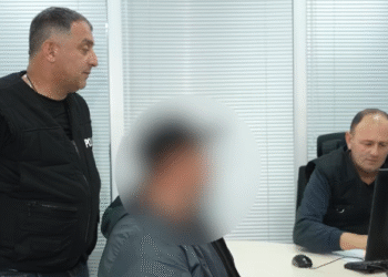 დაკავებულია ყაზახეთის მოქალაქე, რომელიც საქართველოში განსაკუთრებით დიდი ოდენობით ნარკოტიკული საშუალებების შემოტანას ცდილობდა