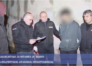 გურიაში, ნარკოდანაშაულის ბრალდებით, რამდენიმე პირი დააკავეს (+ვიდეო)