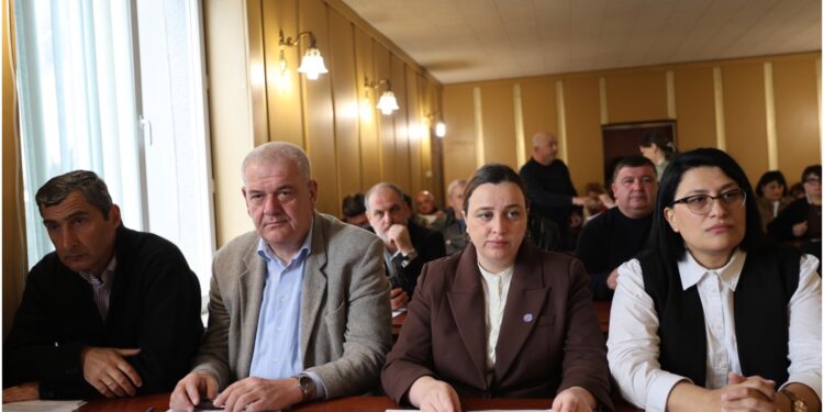 რა საკითხები განიხილეს ოზურგეთის საკრებულოს დღევანდელ სხდომაზე
