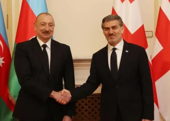 მიხეილ ყაველაშვილმა ილჰამ ალიევთან პირისპირ შეხვედრა გამართა