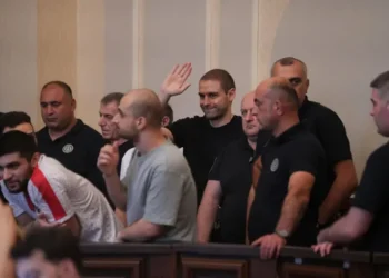 ანდრო ჭიჭინაძე, ონისე ცხადაძე და კიდევ 9 პირი სააპელაციო სასამართლომაც დამნაშავედ ცნო და პირველი ინსტანციის განაჩენი – 2 წლით თავისუფლების აღკვეთა უცვლელად დატოვა