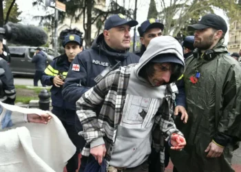 “პროვოკატორები და გადაცმული პოლიციელები შემოყარეს” – ხმაური და დაპირისპირება პარლამენტთან. აქტივისტების ცნობით, პოლიციამ ერთი პირი დააკავა