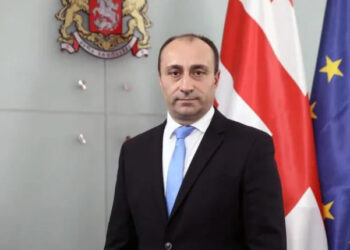 რა ქონებას ფლობს შსს-ს ყოფილი მინისტრი გელა გელაძე და მისი ოჯახი