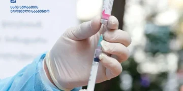 ცოფით დაავადებული მელა ოთხმა უპატრონო ძაღლმა დაგლიჯა – სეს-მა კარანტინი გამოაცხადა