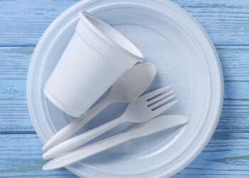 ერთჯერადი პლასტმასის ჭურჭლის გაყიდვა დღეიდან აიკრძალა – რა საგნებს ეხება და როგორია ჯარიმები?