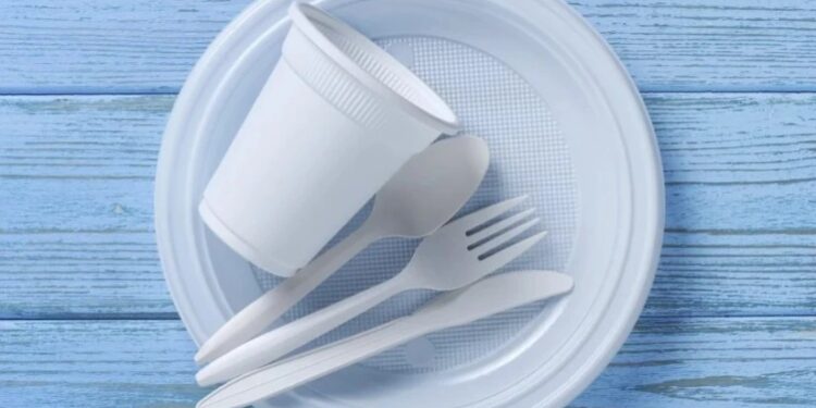 ერთჯერადი პლასტმასის ჭურჭლის გაყიდვა დღეიდან აიკრძალა – რა საგნებს ეხება და როგორია ჯარიმები?