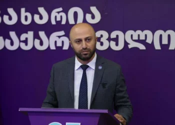 ბერდია სიჭინავა მამუკა მდინარაძეზე – გენერალ-კოორდინატორს ისეთ სამინისტროს უკეთებენ, რომელსაც საკუთარი აპარატიც კი არ ექნება – გაგეგდოთ ბარემ პირდაპირ