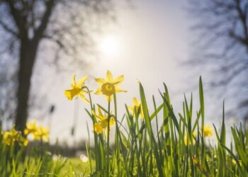 როგორი ამინდი იქნება საქართველოში აღდგომის დღეებში – უახლოესი დღეების პროგნოზი