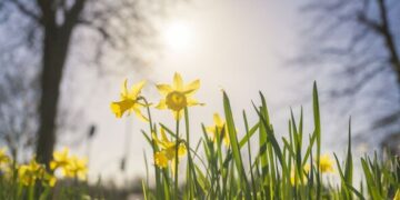 როგორი ამინდი იქნება საქართველოში აღდგომის დღეებში – უახლოესი დღეების პროგნოზი