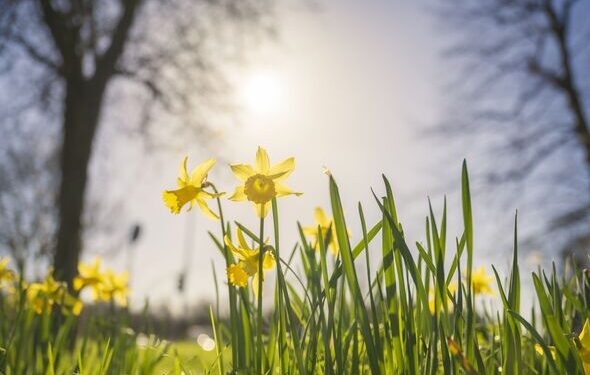 როგორი ამინდი იქნება საქართველოში აღდგომის დღეებში – უახლოესი დღეების პროგნოზი