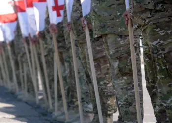 წვევამდელის გამოძახება, შესაძლოა, მოკლე ტექსტური შეტყობინებით და სხვა საშუალებებით განხორციელდეს