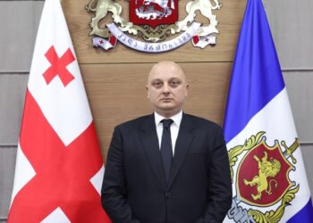 შინაგან საქმეთა მინისტრის მოადგილედ გაგა კირკიტაძე დაინიშნა
