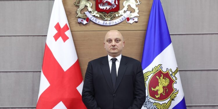 შინაგან საქმეთა მინისტრის მოადგილედ გაგა კირკიტაძე დაინიშნა
