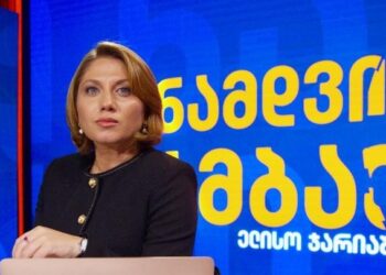 გურამ როგავას საქმეზე ჟურნალისტი ელისო ჯარიაშვილი დაიკითხა